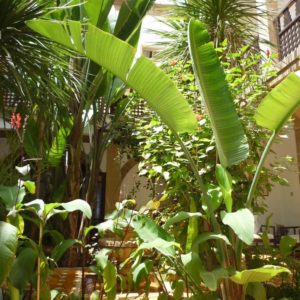 Chems bleu riad hotel essaouira