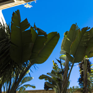 Chambre Jardin Riad Essaouira Chems Bleu